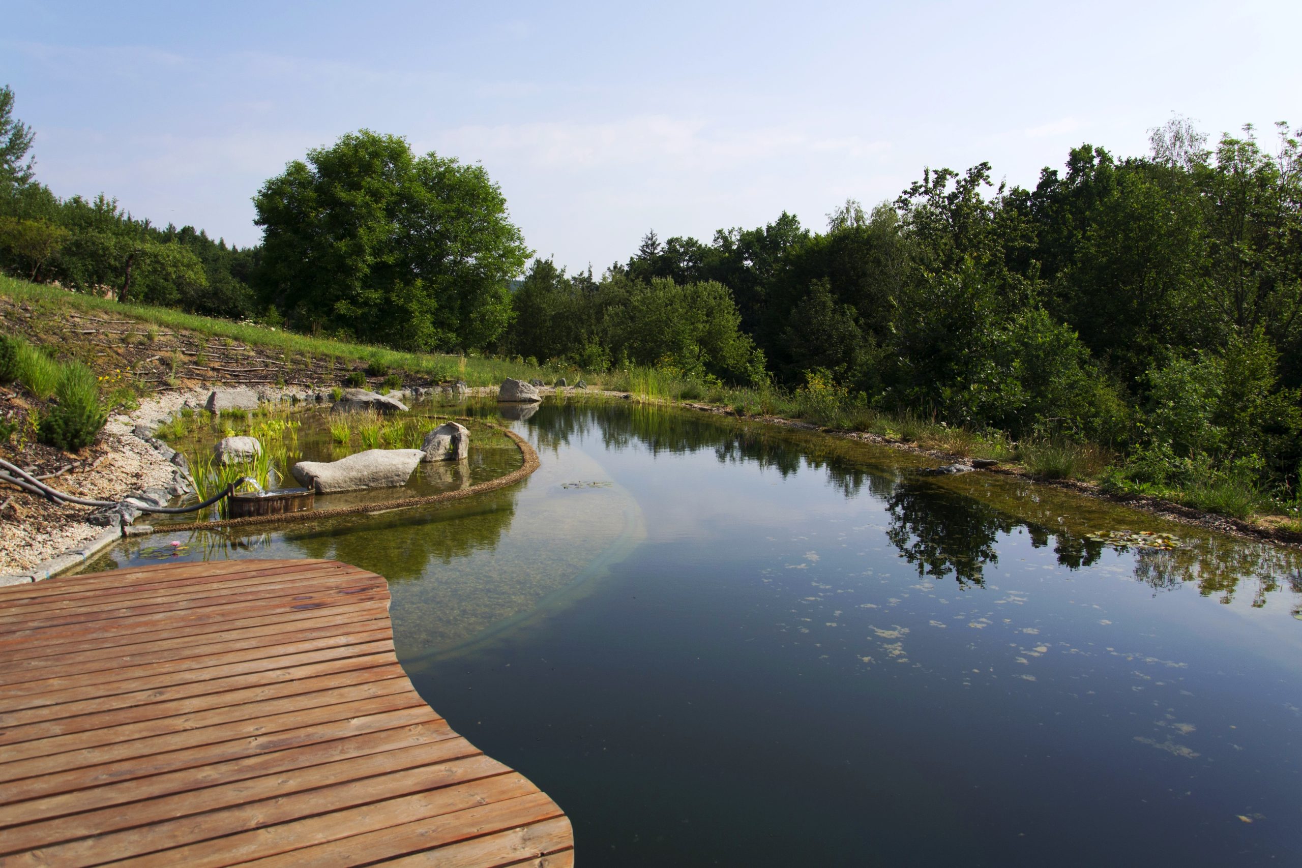 2023 pool trends - natural swimming pond