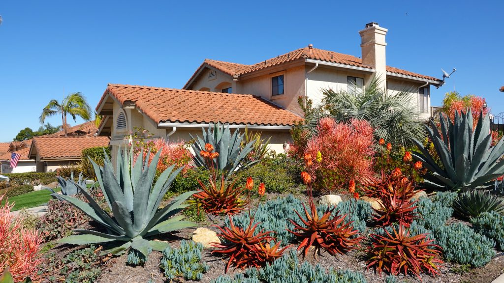 xeriscapes - a yard with red, orange, and green foliage